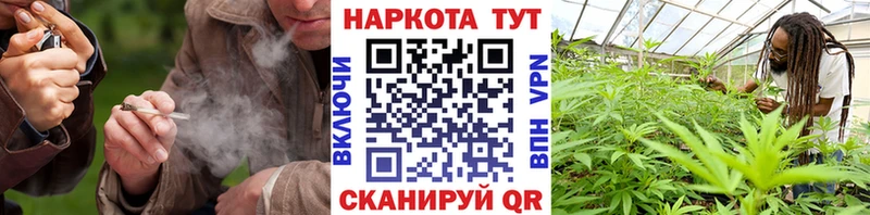 Купить Альфа ПВП Меф мяу мяу Галлюциногенные грибы Кокаин ГАШИШ Мураши