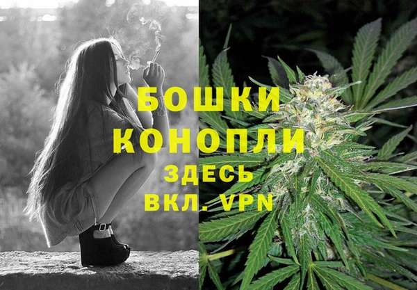 МДМА Бородино