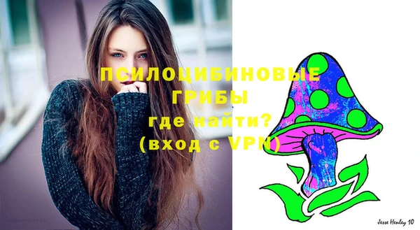 МДМА Бородино